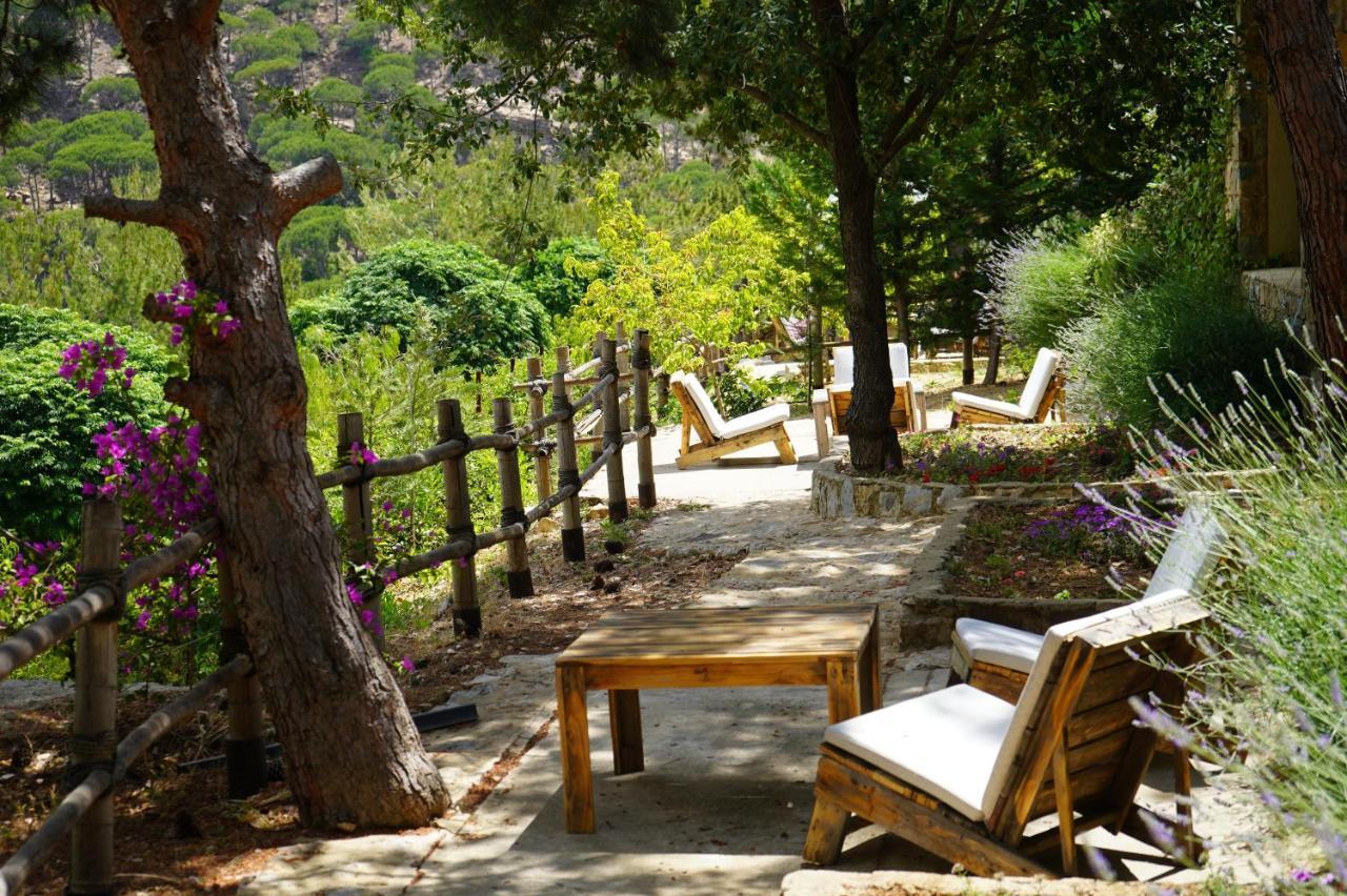 Blue Jay Valley Jezzîne Eksteriør billede